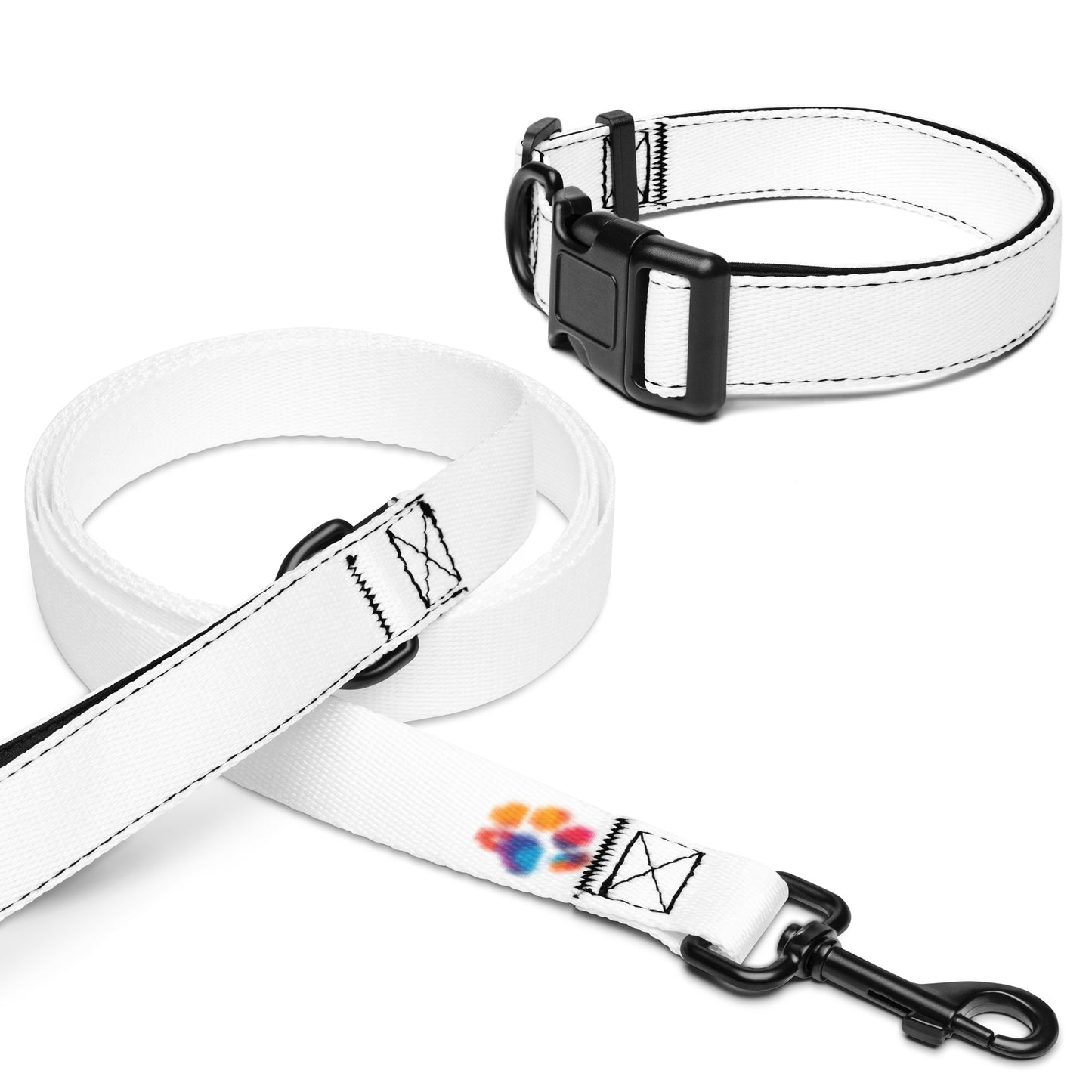 Pet collar & leash