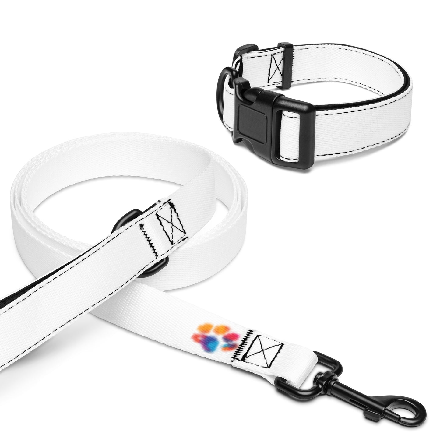 Pet collar & leash