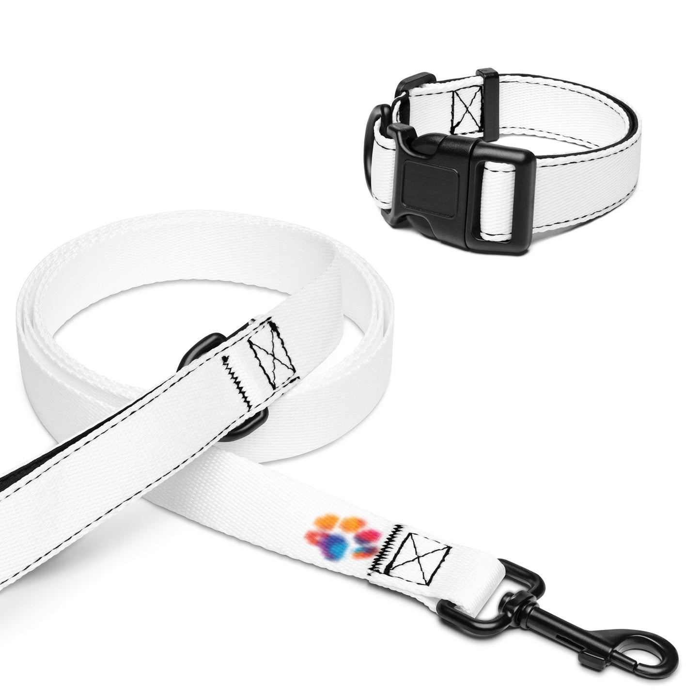 Pet collar & leash