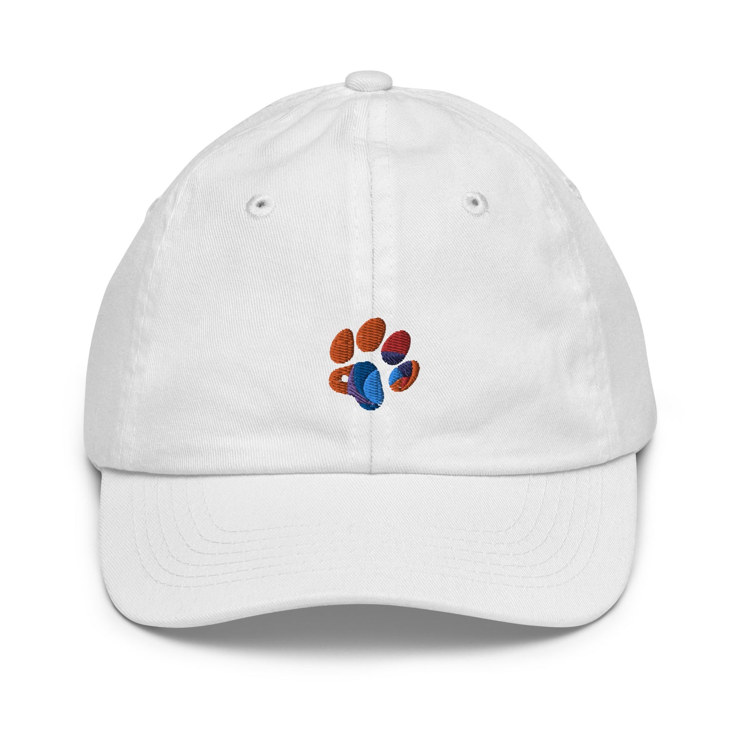 Youth baseball cap