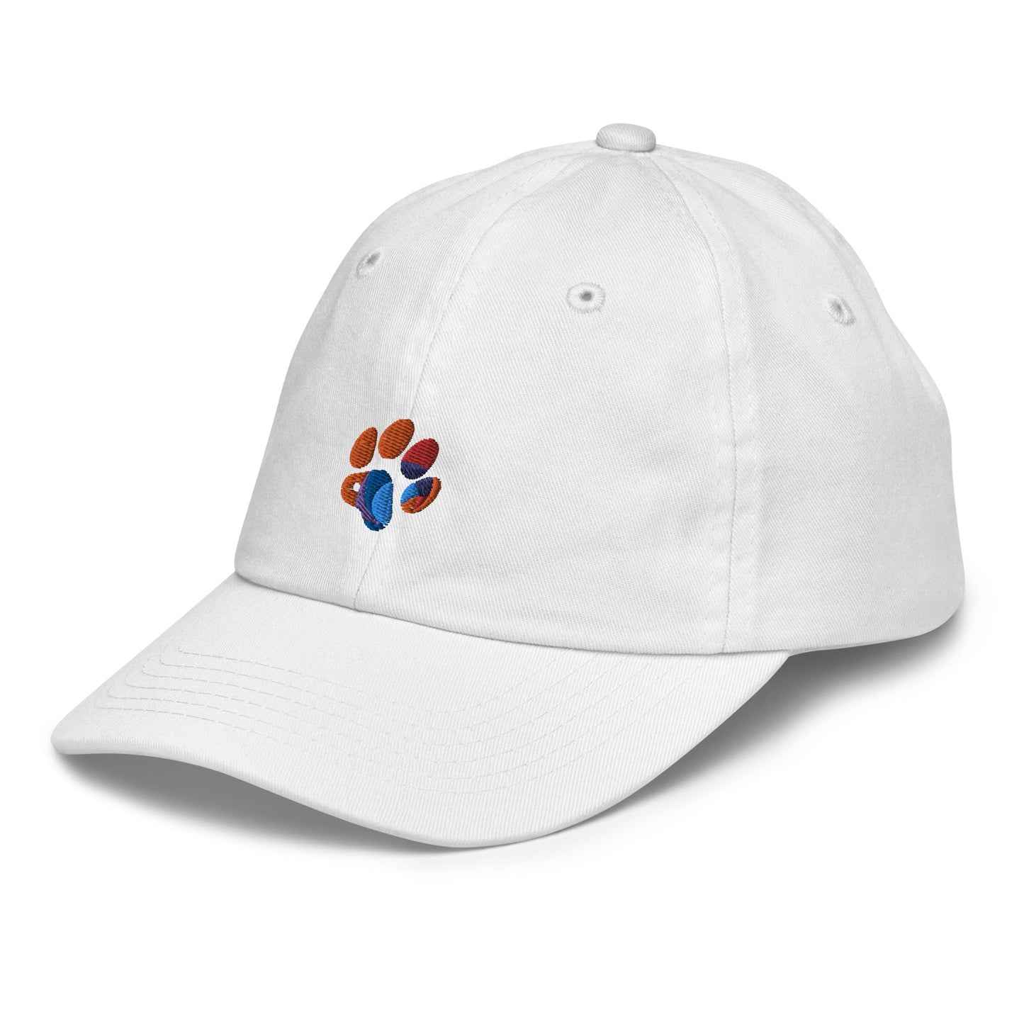 Youth baseball cap