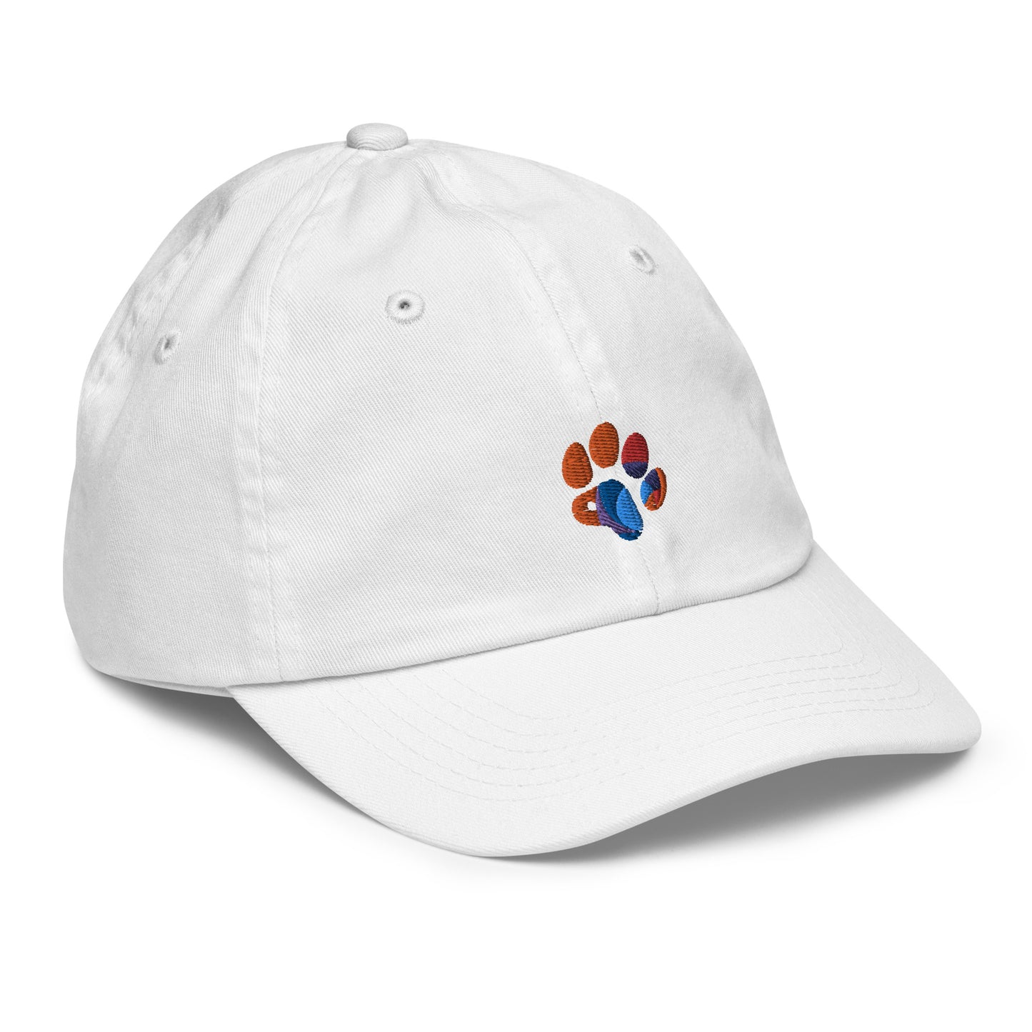 Youth baseball cap