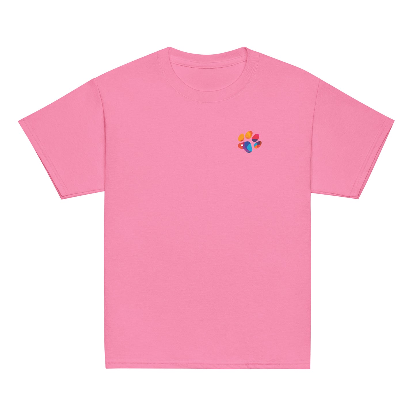 Youth classic tee