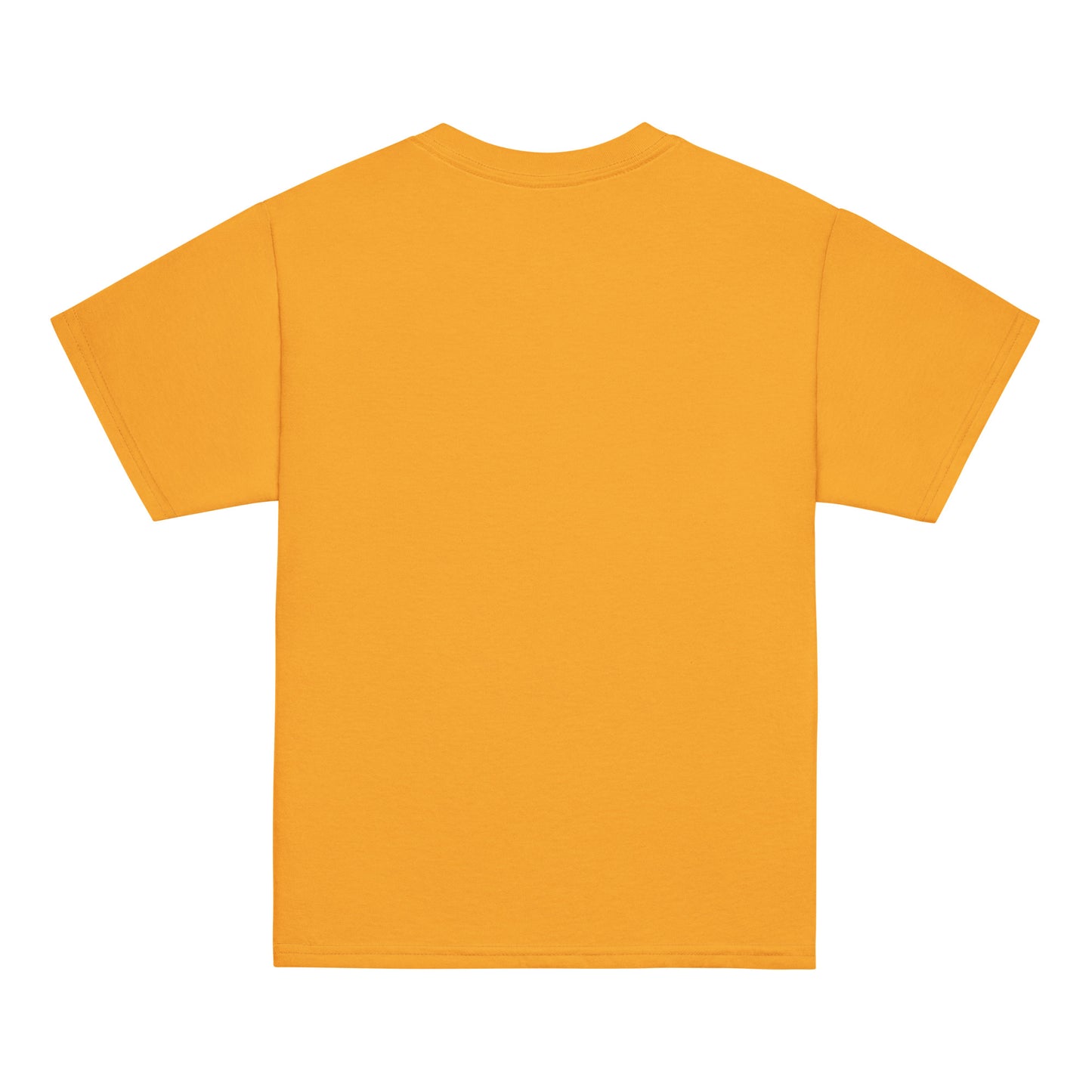 Youth classic tee