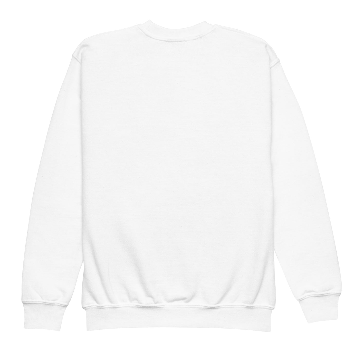 Youth crewneck sweatshirt